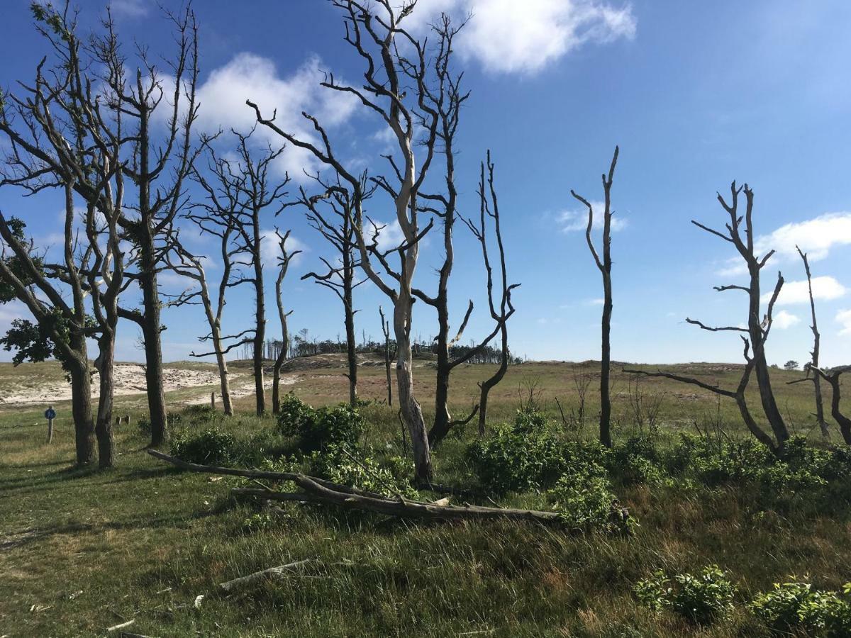 De Ark Villa Schoorl Eksteriør bilde